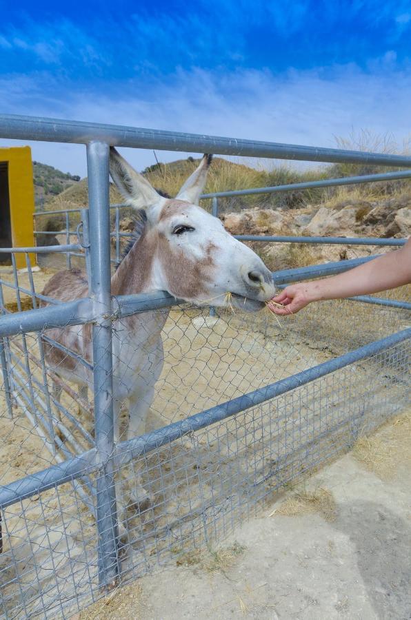 Pensjonat Finca Liarte Fuente Alamo  Zewnętrze zdjęcie