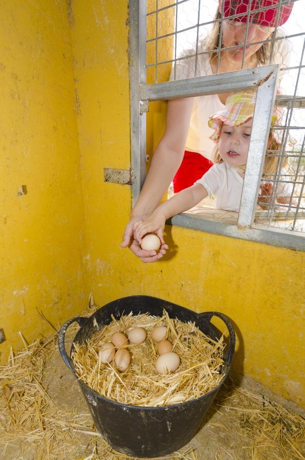 Pensjonat Finca Liarte Fuente Alamo  Zewnętrze zdjęcie