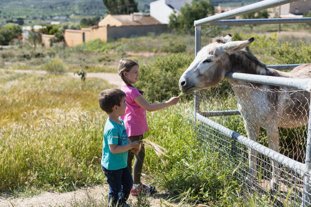 Pensjonat Finca Liarte Fuente Alamo  Zewnętrze zdjęcie